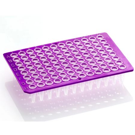 framestar_96_well_non-skirted_pcr_plate_low_profile_(various_colours)_premier_scientific_purple