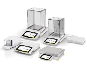 Balances and Weights