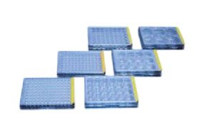 TPP Tissue Culture Plate