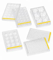 Tissue Culture Plates