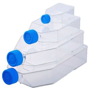 Tissue Culture