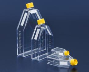 Tissue Culture Flasks