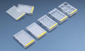 Tissue Culture Plates