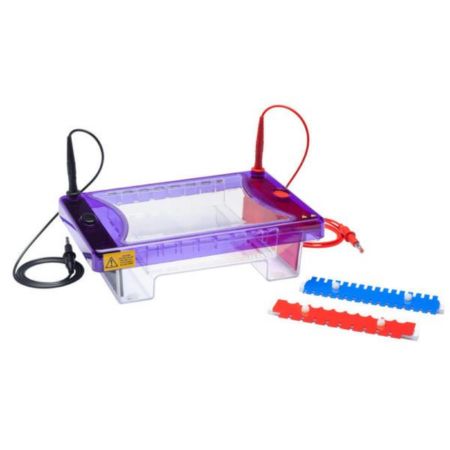 thistle_scientific_multisub_choice_wide_midi_horizontal_electrophoresis_system_premier_scientific_2